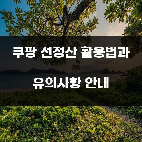 쿠팡 선정산 활용법과 유의사항 안내