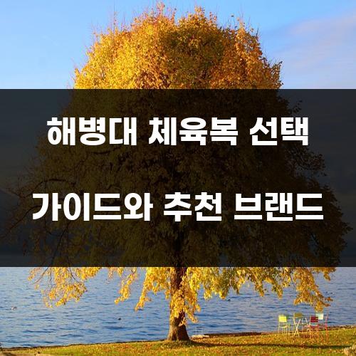 해병대 체육복 선택 가이드와 추천 브랜드