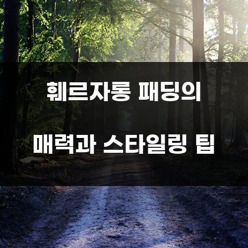 훼르자롱 패딩의 매력과 스타일링 팁