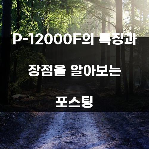 P-12000F의 특징과 장점을 알아보는 포스팅