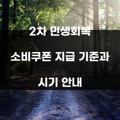 2차 민생회복 소비쿠폰 지급 기준과 시기 안내