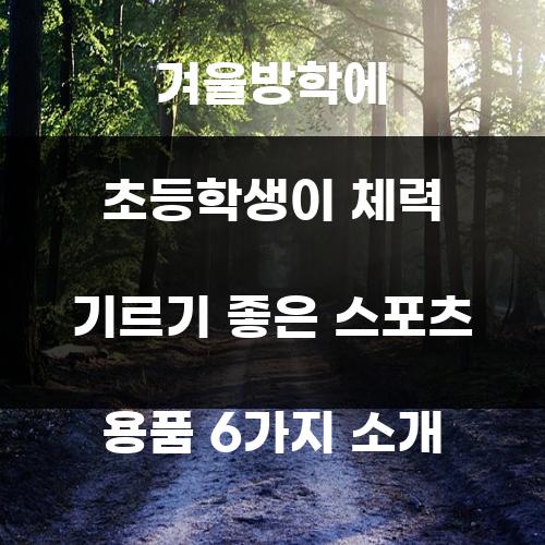 겨울방학에 초등학생이 체력 기르기 좋은 스포츠 용품 6가지 소개