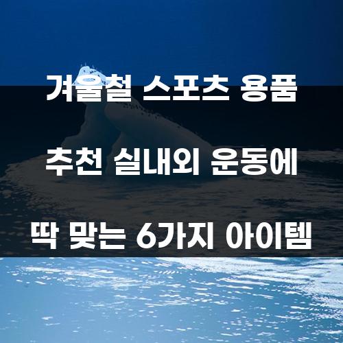 겨울철 스포츠 용품 추천 실내외 운동에 딱 맞는 6가지 아이템