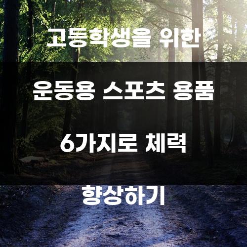 고등학생을 위한 운동용 스포츠 용품 6가지로 체력 향상하기