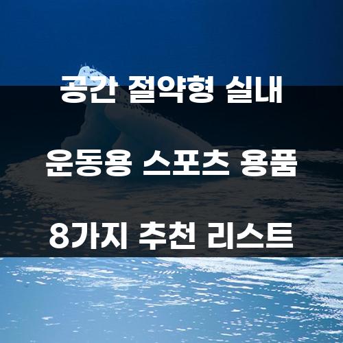 공간 절약형 실내 운동용 스포츠 용품 8가지 추천 리스트
