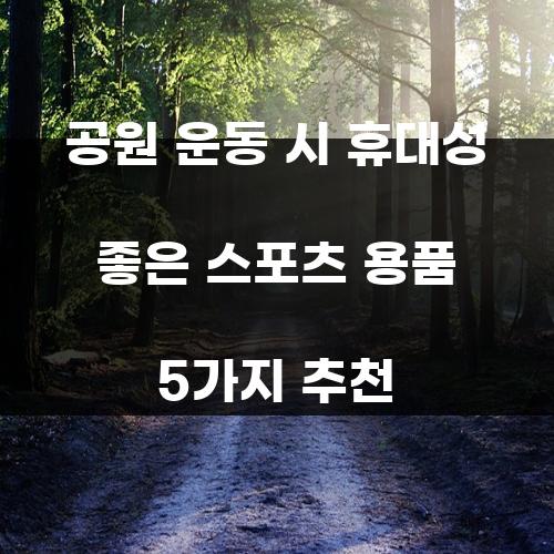 공원 운동 시 휴대성 좋은 스포츠 용품 5가지 추천