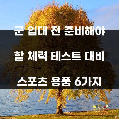 군 입대 전 준비해야 할 체력 테스트 대비 스포츠 용품 6가지