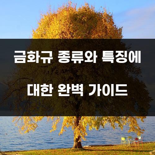 금화규 종류와 특징에 대한 완벽 가이드