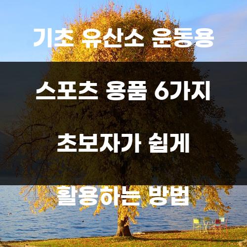 기초 유산소 운동용 스포츠 용품 6가지 초보자가 쉽게 활용하는 방법