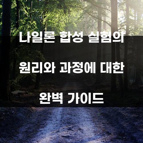 나일론 합성 실험의 원리와 과정에 대한 완벽 가이드