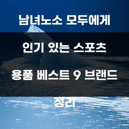 남녀노소 모두에게 인기 있는 스포츠 용품 베스트 9 브랜드 정리