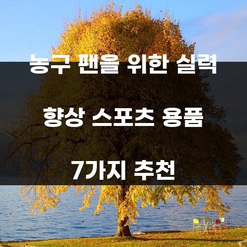 농구 팬을 위한 실력 향상 스포츠 용품 7가지 추천