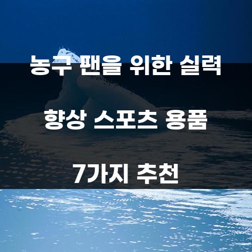 농구 팬을 위한 실력 향상 스포츠 용품 7가지 추천