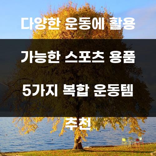 다양한 운동에 활용 가능한 스포츠 용품 5가지 복합 운동템 추천