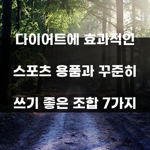 다이어트에 효과적인 스포츠 용품과 꾸준히 쓰기 좋은 조합 7가지