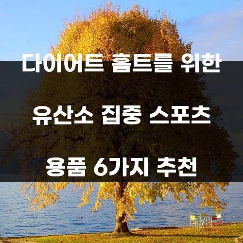 다이어트 홈트를 위한 유산소 집중 스포츠 용품 6가지 추천