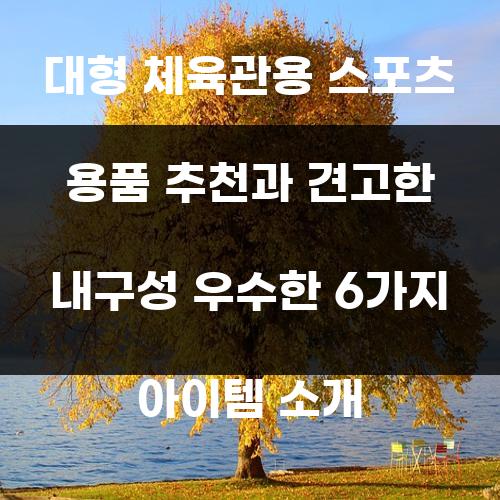 대형 체육관용 스포츠 용품 추천과 견고한 내구성 우수한 6가지 아이템 소개
