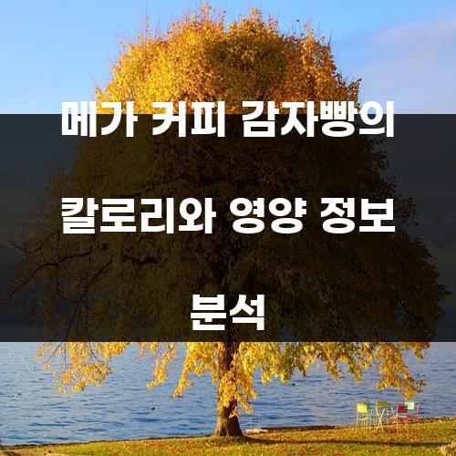 메가 커피 감자빵의 칼로리와 영양 정보 분석
