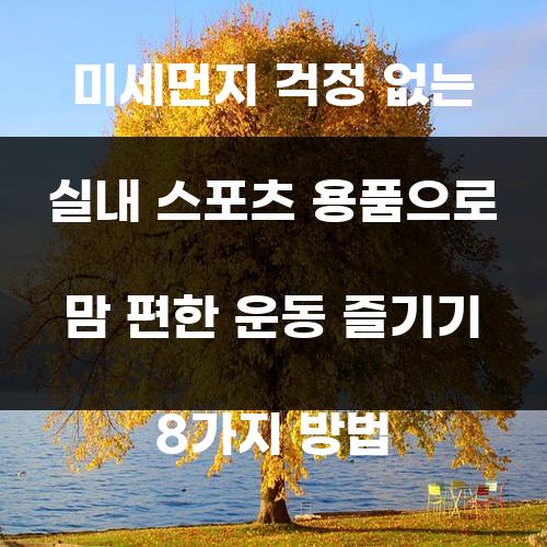미세먼지 걱정 없는 실내 스포츠 용품으로 맘 편한 운동 즐기기 8가지 방법