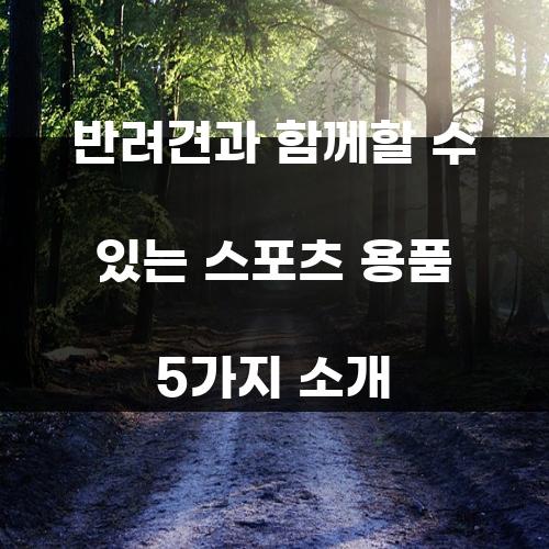 반려견과 함께할 수 있는 스포츠 용품 5가지 소개