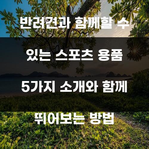 반려견과 함께할 수 있는 스포츠 용품 5가지 소개와 함께 뛰어보는 방법