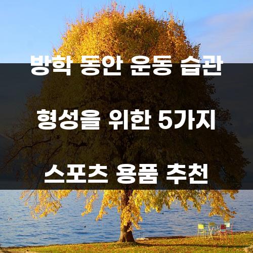 방학 동안 운동 습관 형성을 위한 5가지 스포츠 용품 추천