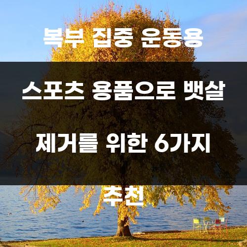 복부 집중 운동용 스포츠 용품으로 뱃살 제거를 위한 6가지 추천