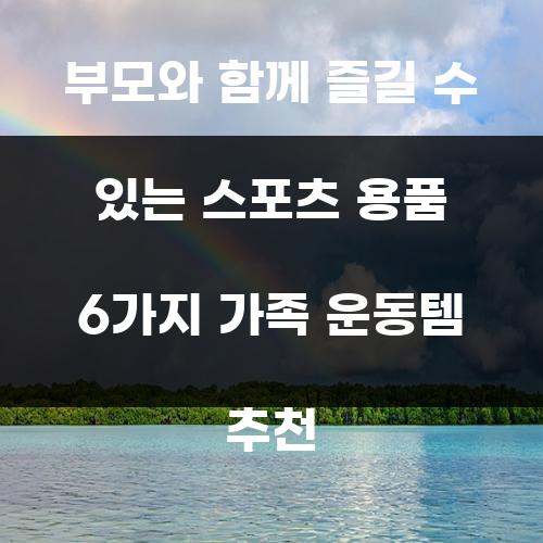 부모와 함께 즐길 수 있는 스포츠 용품 6가지 가족 운동템 추천