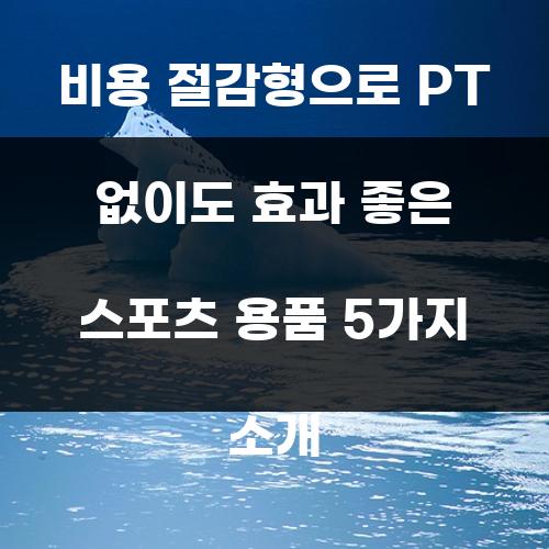 비용 절감형으로 PT 없이도 효과 좋은 스포츠 용품 5가지 소개