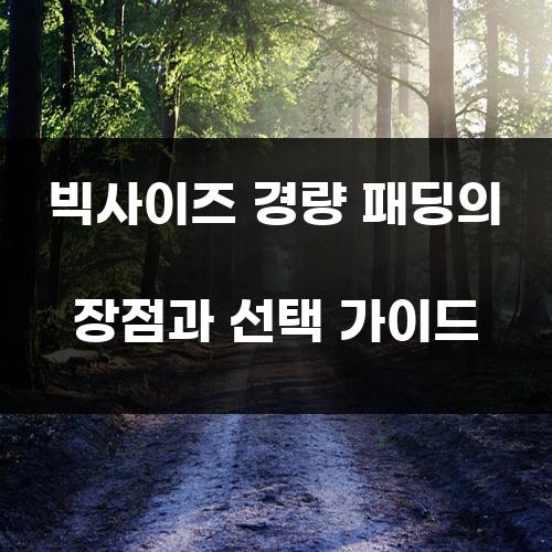 빅사이즈 경량 패딩의 장점과 선택 가이드