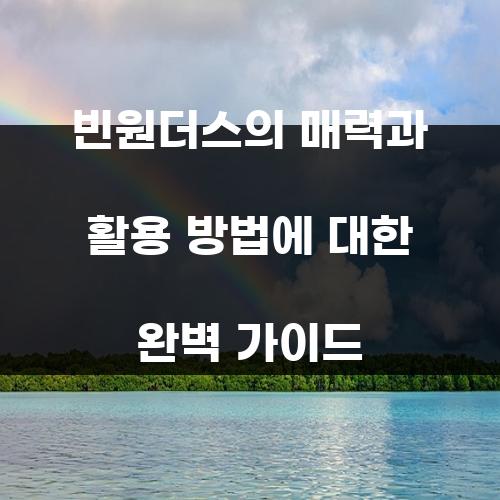 빈원더스의 매력과 활용 방법에 대한 완벽 가이드