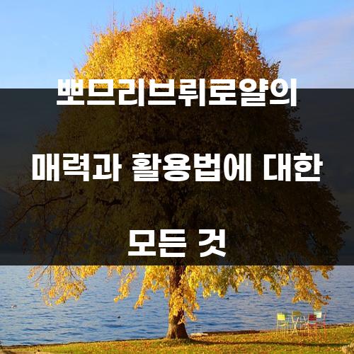 뽀므리브뤼로얄의 매력과 활용법에 대한 모든 것
