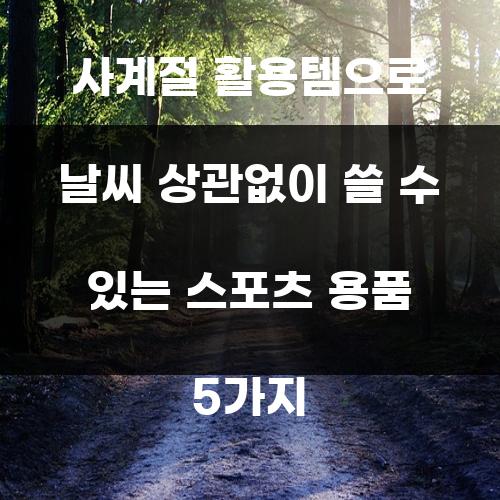 사계절 활용템으로 날씨 상관없이 쓸 수 있는 스포츠 용품 5가지