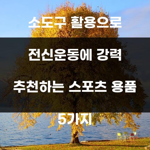 소도구 활용으로 전신운동에 강력 추천하는 스포츠 용품 5가지