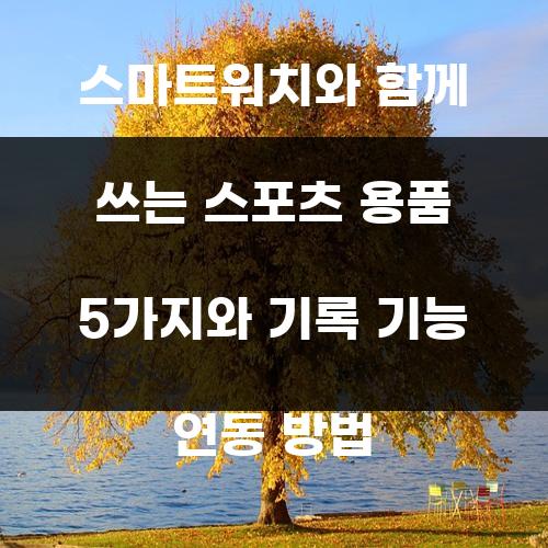 스마트워치와 함께 쓰는 스포츠 용품 5가지와 기록 기능 연동 방법