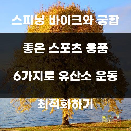 스피닝 바이크와 궁합 좋은 스포츠 용품 6가지로 유산소 운동 최적화하기