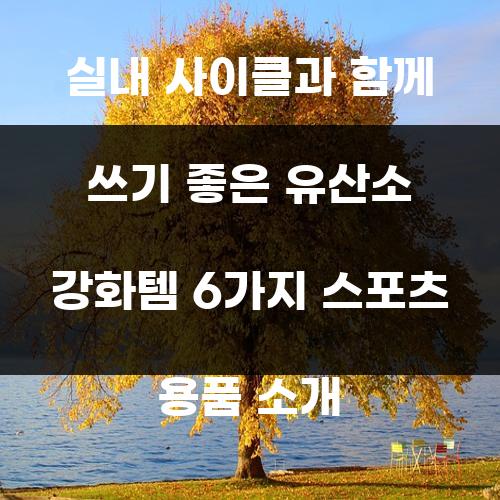 실내 사이클과 함께 쓰기 좋은 유산소 강화템 6가지 스포츠 용품 소개