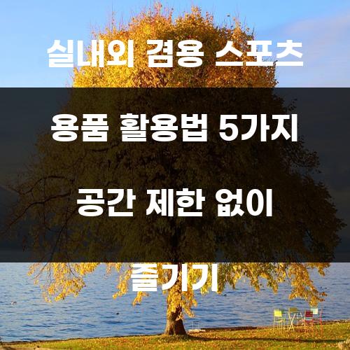 실내외 겸용 스포츠 용품 활용법 5가지 공간 제한 없이 즐기기