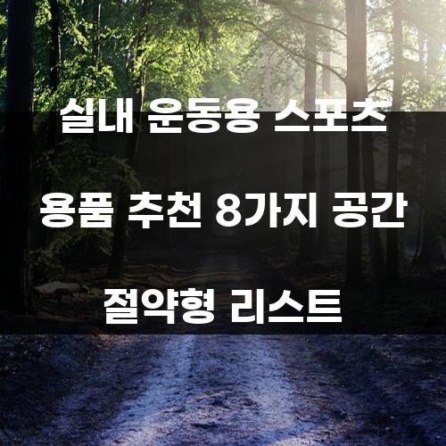 실내 운동용 스포츠 용품 추천 8가지 공간 절약형 리스트