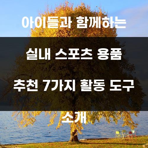 아이들과 함께하는 실내 스포츠 용품 추천 7가지 활동 도구 소개