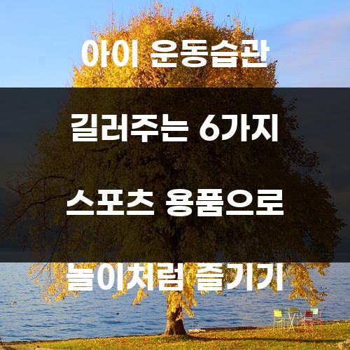아이 운동습관 길러주는 6가지 스포츠 용품으로 놀이처럼 즐기기
