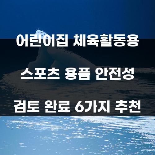 어린이집 체육활동용 스포츠 용품 안전성 검토 완료 6가지 추천