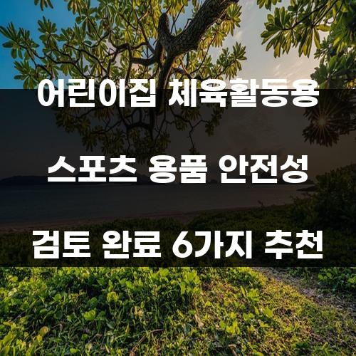 어린이집 체육활동용 스포츠 용품 안전성 검토 완료 6가지 추천