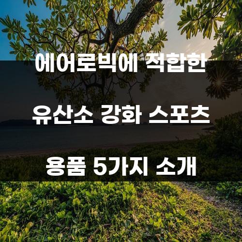 에어로빅에 적합한 유산소 강화 스포츠 용품 5가지 소개