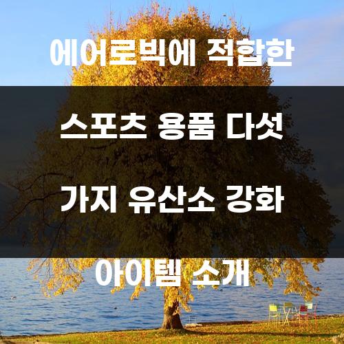 에어로빅에 적합한 스포츠 용품 다섯 가지 유산소 강화 아이템 소개