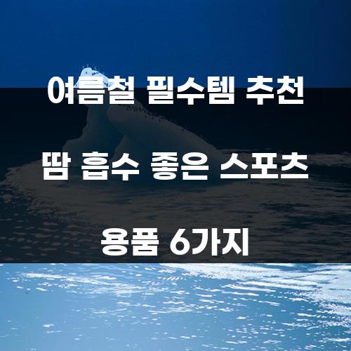 여름철 필수템 추천 땀 흡수 좋은 스포츠 용품 6가지