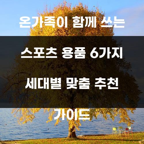온가족이 함께 쓰는 스포츠 용품 6가지 세대별 맞춤 추천 가이드