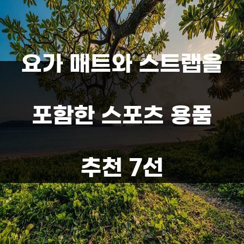 요가 매트와 스트랩을 포함한 스포츠 용품 추천 7선