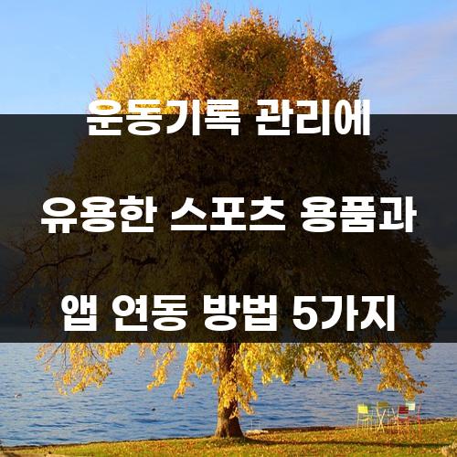 운동기록 관리에 유용한 스포츠 용품과 앱 연동 방법 5가지