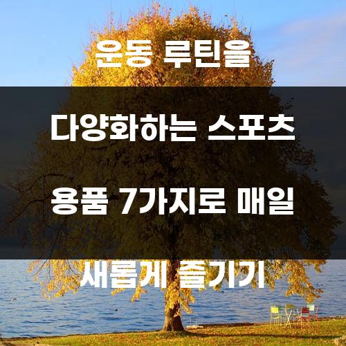 운동 루틴을 다양화하는 스포츠 용품 7가지로 매일 새롭게 즐기기